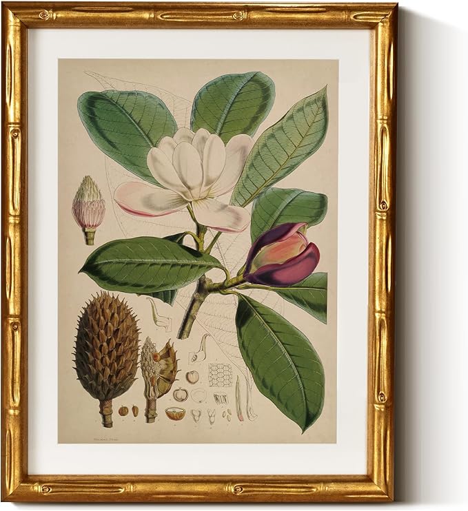 InSimSea Gold Bamboo Framed Canvas Wall Art, Retro Nature Magnolia Botanical