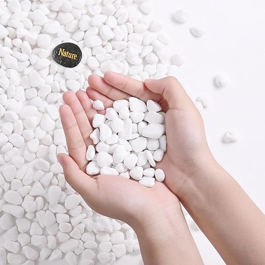 SIDONG 10 LB White River Rocks, 0.3-0.5 Inches Pebbles for Indoor Plants, Aquarium Rocks Used in Fish Tank, Decorative Stones for Plants, Vases, Home Décor, Crafting, Garden Landscaping