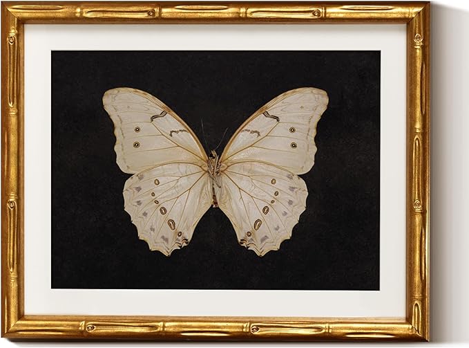 InSimSea Gold Bamboo Framed Canvas Wall Art, Retro White Butterfly Animal