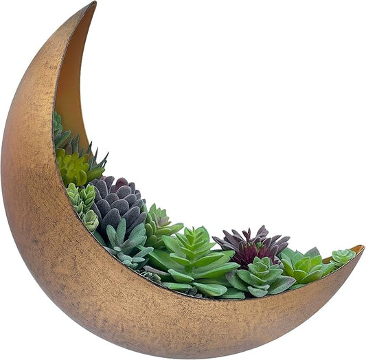 Moon Wall Planter