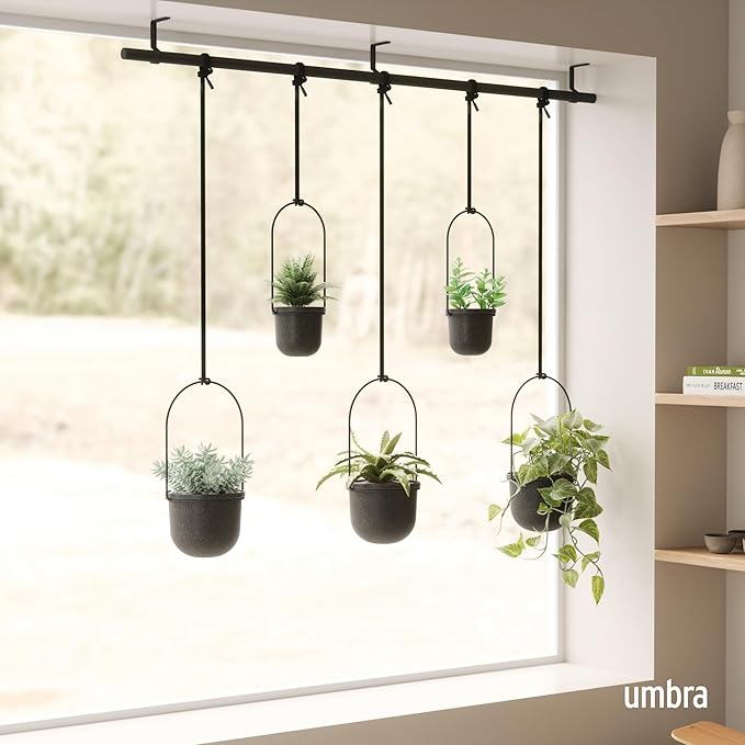 Umbra Triflora Hanging Planter for Window, Indoor Herb Garden