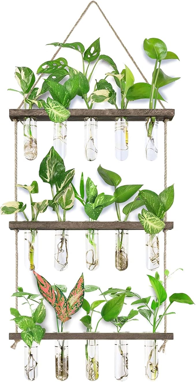XXXFLOWER Wall Hanging Propagation Station
