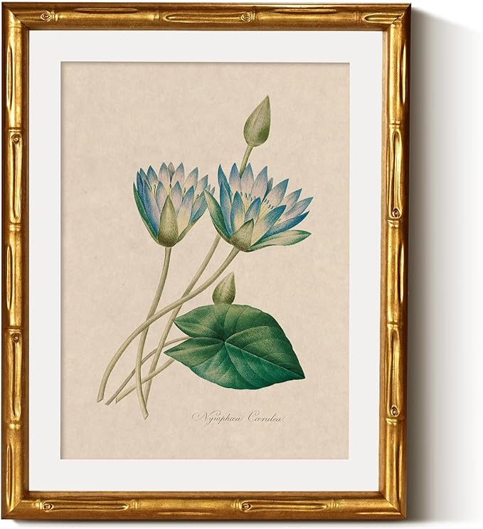 InSimSea Gold Bamboo Framed Canvas Wall Art, Retro Blue Lotus Botanical Prints