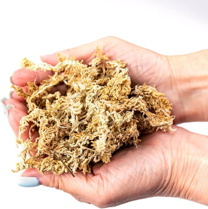 Gardenera Premium New Zealand Sphagnum Moss - Organic Hand Mixed Long Fibered Sphagnum Moss Orchid - 5 Quart