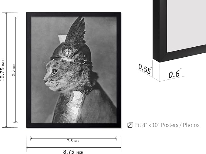 Poster Master Vintage Armored Cat