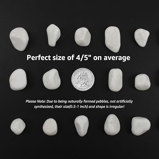 40 lbs White Polished Landscape Stones, 0.5-1 Inch Decorative Rocks for Gardens, Pathways, Pots, Vase Fillers, Aquarium Decoration, Glass Containers, and Yard Borde (Pure White, Weight: 40 LB)