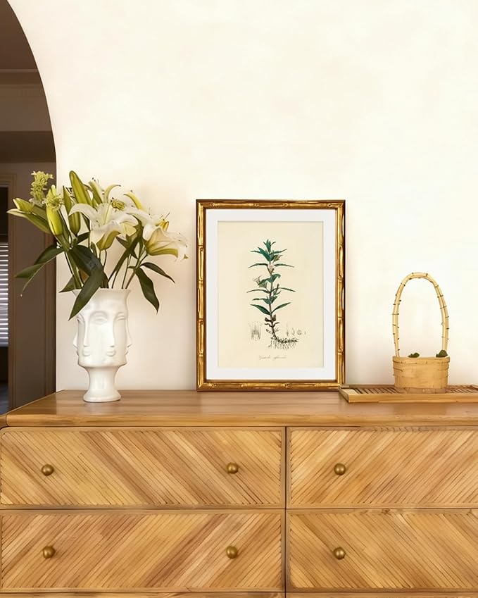 InSimSea Gold Bamboo Framed Canvas Wall Art, Vintage Kitchen Herbs Paintings