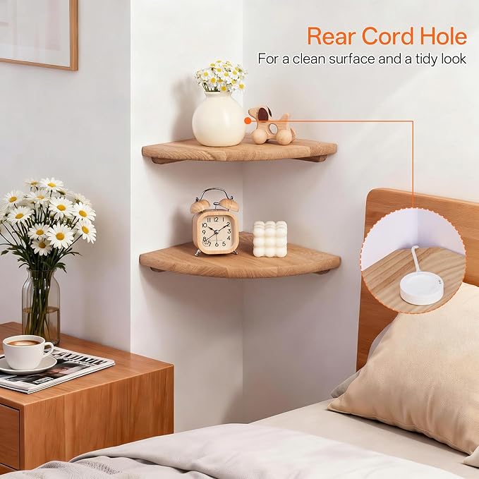 Gieanoo Floating Corner Shelves