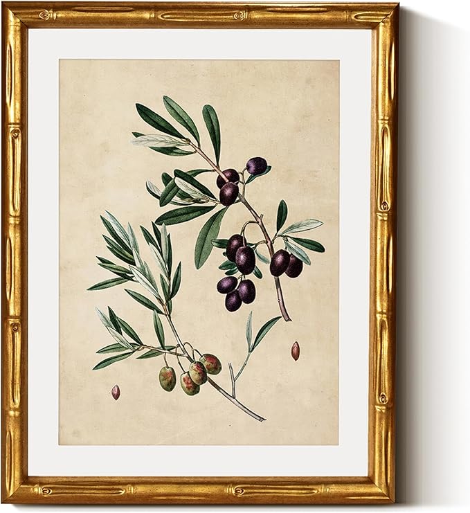 InSimSea Gold Bamboo Framed Canvas Wall Art, Vintage Olives Botanical Prints