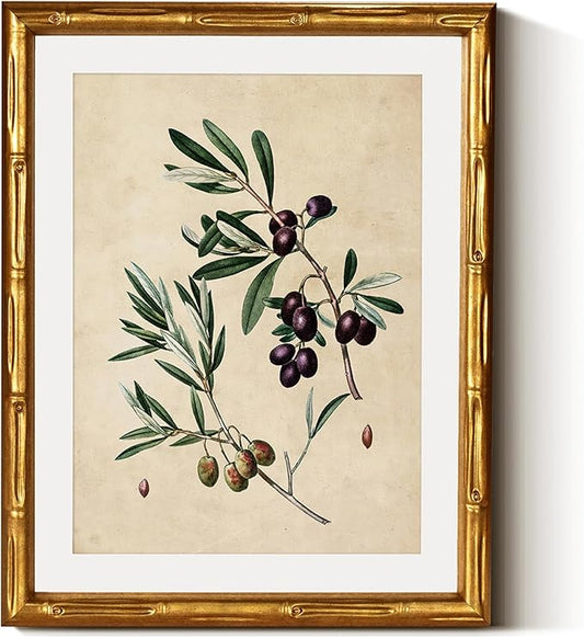 InSimSea Gold Bamboo Framed Canvas Wall Art, Vintage Olives Botanical Prints