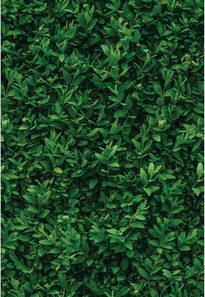 Main Street Peel and Stick Wallpaper Eco-Friendly Sheets 12 Pack, 11 X 16 Inch