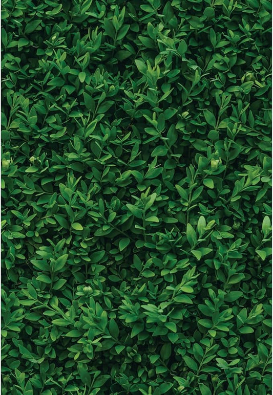 Main Street Peel and Stick Wallpaper Eco-Friendly Sheets 12 Pack, 11 X 16 Inch