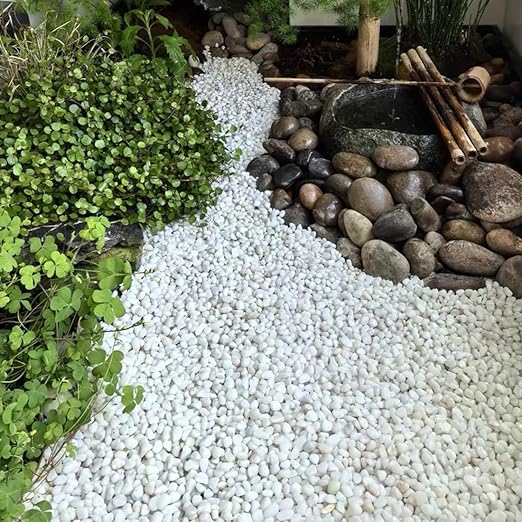 YISZM 10lb White River Rocks, 2-3 Inch Natural Pebbles for Indoor Plants, Snow White Decorative Stones, Ideal for Fish Tank, Vases, Crafting, Home Decor and Garden Landscaping Rocks