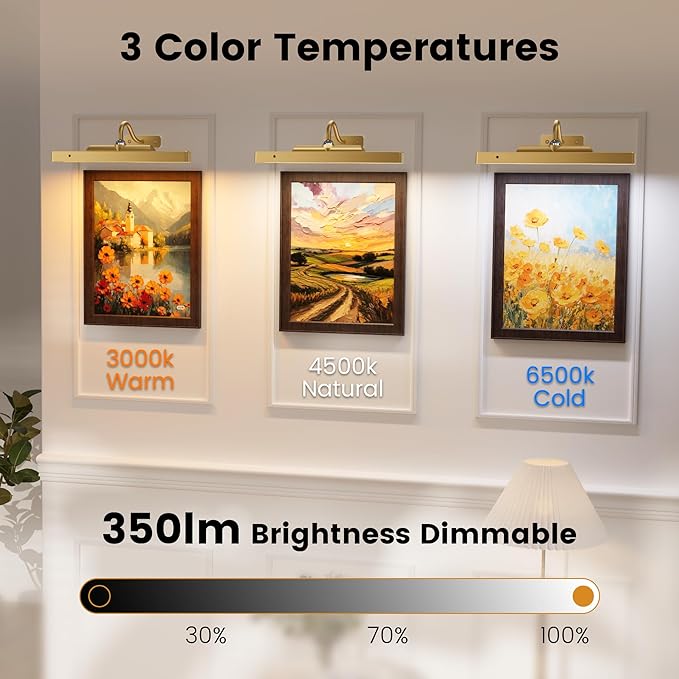 Gallery Lights for Wall 3 Pack, Cordless Remote Dimmable LED for Portrait