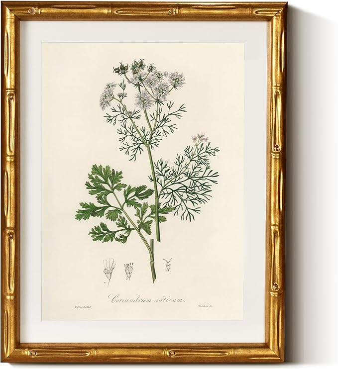 InSimSea Gold Bamboo Framed Canvas Wall Art, Plants Fern Botanical Paintings