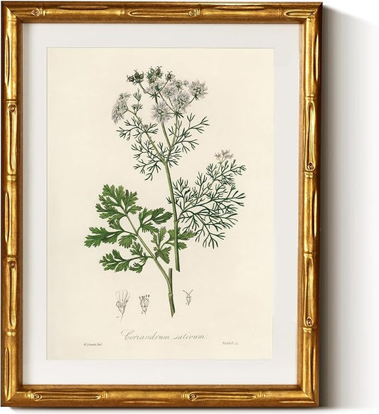 InSimSea Gold Bamboo Framed Canvas Wall Art, Plants Fern Botanical Paintings