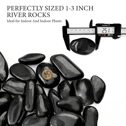 9lb Black River Rocks for Plants, 1-3 Inch Pebbles for Indoor Plants, Polished Garden Rocks Outdoor Landscaping, Decorative Stones for Vases, Succulents, Aquarium, Walkways