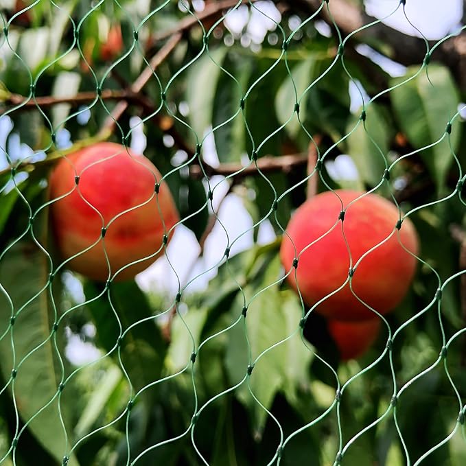 Bird Netting for Garden 6.5X50 FT, 1/4 Inch Mesh, Protect Blueberry, Strawberry, Tomatos, Vegetables. Fruit Tree Netting for Cicadas Against Deers, Squirrels, Bunnies, and Small Critters.