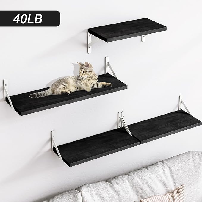 YGEOMER Floating Shelves for Wall, Different Sizes Black Wall Shelves for