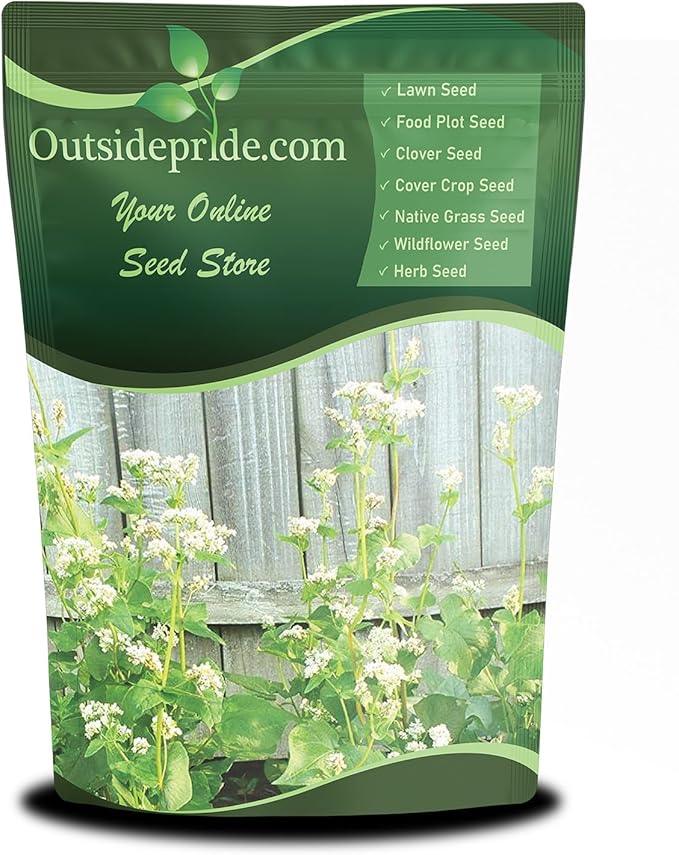 Outsidepride Buckwheat Seeds - 10lbs Annual, Fast-Growing, Easy to Grow Buckwheat Cover Crop Seeds for Green Manure, Bee Pasture & Pollinators, Wildlife Habitat, Soil Improvement, and Erosion Control