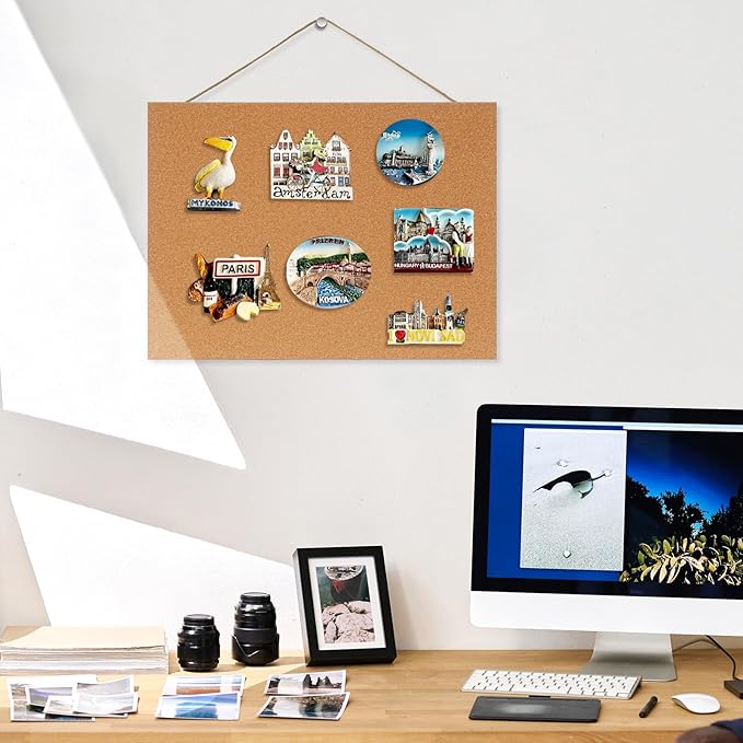 DOLLAR BOSS Magnetic Cork Board