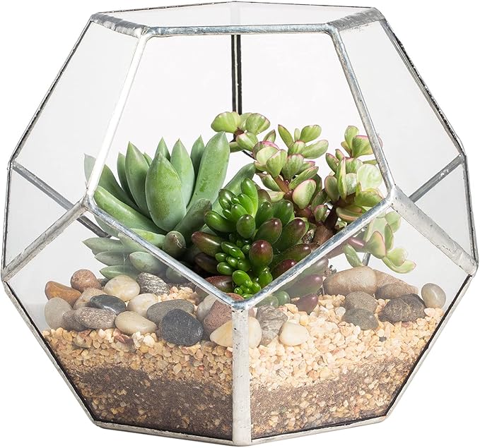 NCYP Small Silver Glass Geometric Terrarium for Succulents Air Plants, 6.89 x 6.89 x 5.9 Inches, Indoor Home Garden Planter Pot, Tabletop Decor Centerpiece, Handmade (Only Terrarium)