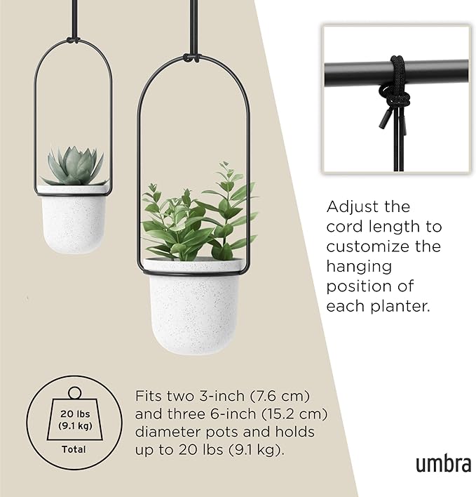 Umbra Triflora Hanging Planter for Window, Indoor Herb Garden
