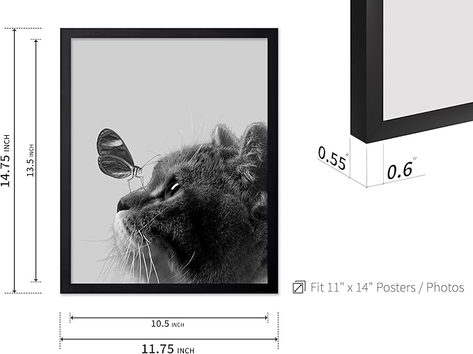 Poster Master Butterfly on Cat Print