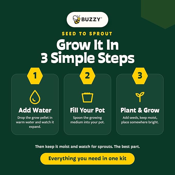 Buzzy Seeds Strawberry Grow Kit - Basin Ceramic Planter - Complete Indoor/Outdoor Gardening Kit with Seeds, Coconut Husk Growing Medium & Genuine Pots - 100% Grow Guarantee