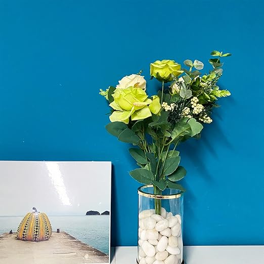 FANTIAN 5lbs White Pebbles for Indoor Plants, 0.8-1.2 Inch Smooth White River Rocks for Potted Plants, Decorative Polished Stones for Landscaping Vase Fish Tank and Outdoor Garden Pavers