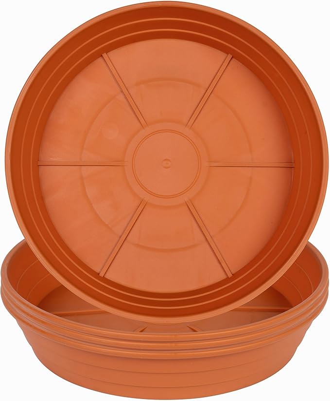 Plant Saucer 8 Inch 4 Pack 6 8 10 12 14 16 18 20 25, Plastic Plant Trays for Potsï¼Extra-Deep Plant Water Dray Tray, Bird Bath Bowl, Heavy Flower Plant saucers Indoors and Outdoor No Holes 8in-4 red