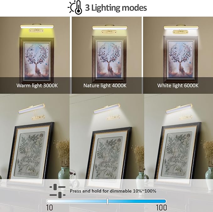 MIOBLUE Rechargeable Picture Light