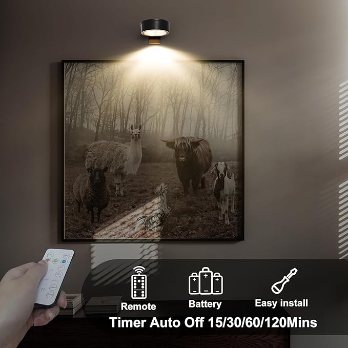 6-Pack Battery Operated Picture Light Magnetic Painting Light