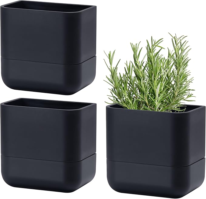 Phoenix Vine 6.5 Inch Wall Mounted Self-Watering Planter Pot