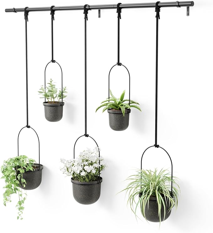Umbra Triflora Hanging Planter for Window, Indoor Herb Garden