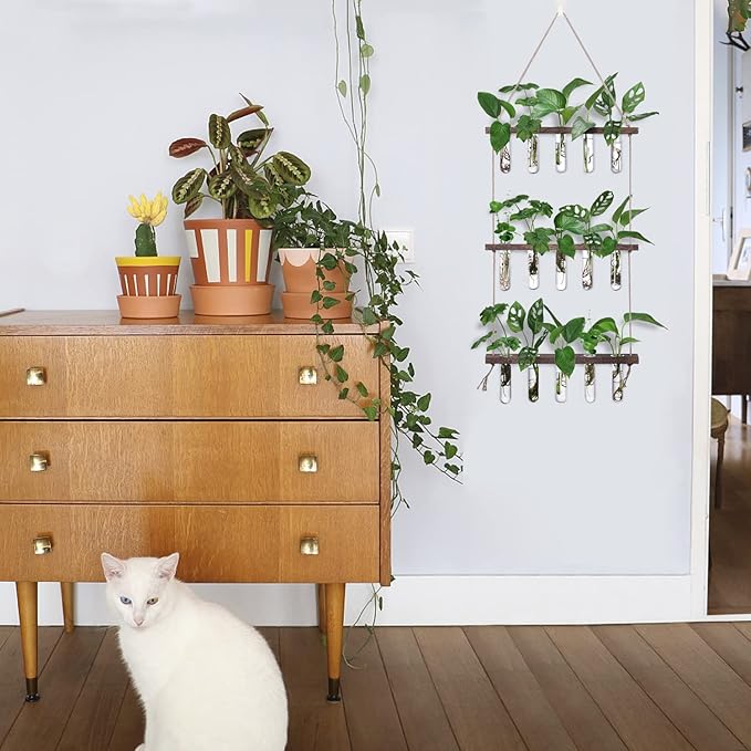 XXXFLOWER Wall Hanging Propagation Station