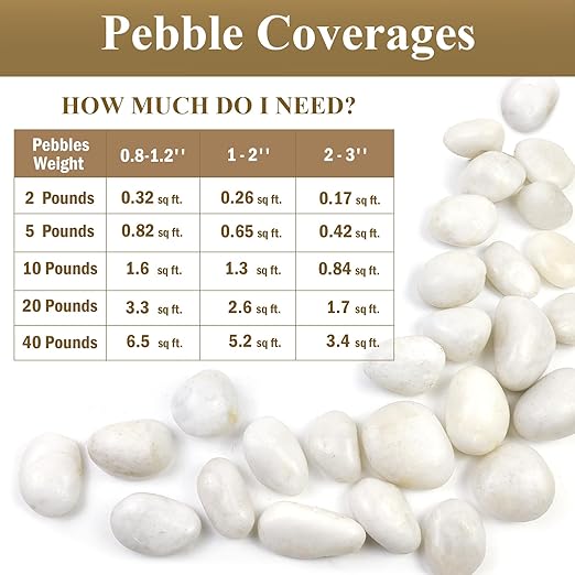 FANTIAN 5lbs White Pebbles for Indoor Plants, 0.8-1.2 Inch Smooth White River Rocks for Potted Plants, Decorative Polished Stones for Landscaping Vase Fish Tank and Outdoor Garden Pavers