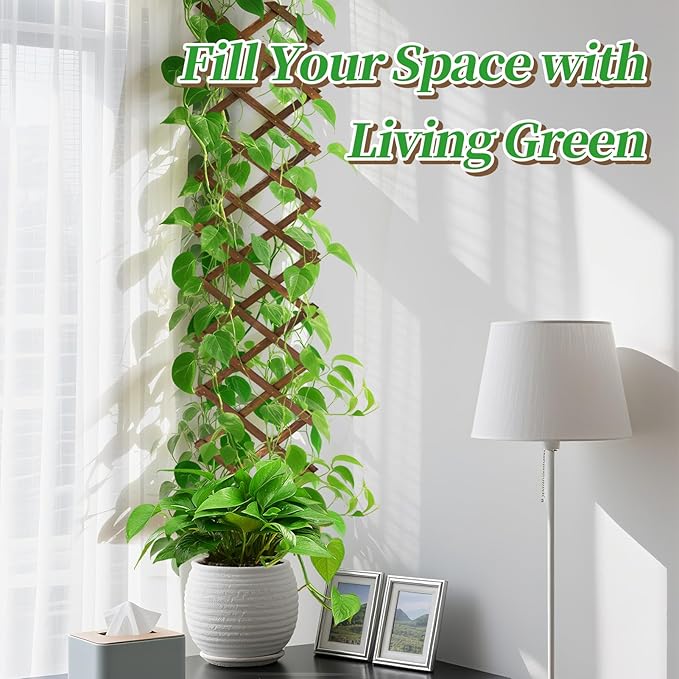 2Packs 13x78in Expandable Wood Wall Trellis
