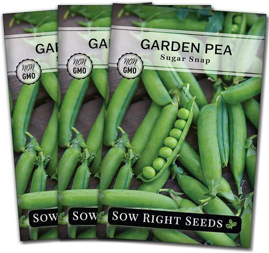 Sow Right Seeds - Sugar Snap Pea Seeds for Planting - Non-GMO Heirloom Packet with Instructions to Plant a Home Vegetable Garden - Grow Tons of Delicious Pods - Cool Season Crop, Super Productive (3)