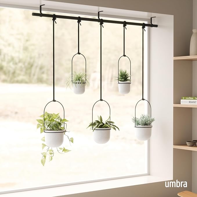Umbra Triflora Hanging Planter for Window, Indoor Herb Garden