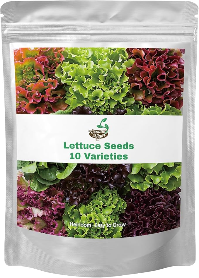 20,000+ Lettuce Seeds, Heirloom Vegetable Seed for Planting Indoor Outdoor, 10 Varieties Fresh Lettuce Salad Seeds Garden Hydroponics Kit - Romaine, Iceberg, Boston, Bibb and More, Non-GMO