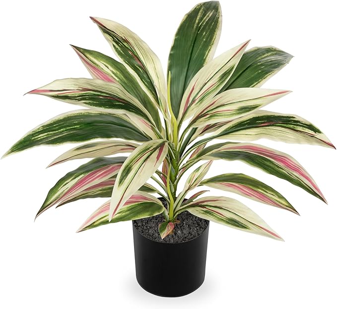 Oairse Artificial Plants Indoor with Pot, 18" Fake Potted Plants Medium Artificial Dracaena Plant in Black Pot Faux Tropical Plants for Bathroom Living Room Office Desk Shelf Decor