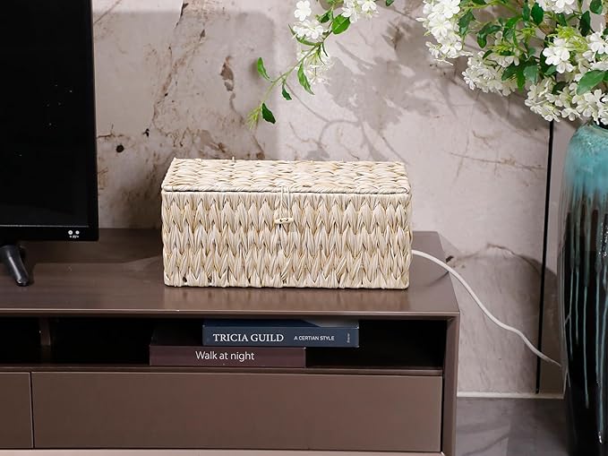Cable Management Box,Boho Decorative Handwoven 2 Open Slots Cord Organizer Hider Box with Lid for TV Wires, Computer, Router, USB Hub and Under Desk Power Strip