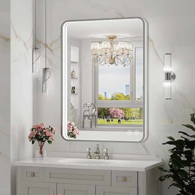 LED Bathroom Mirror with Lights, 20x28 Inch Brushed Silver Framed Lighted
