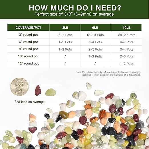 NUPICK 3 lbs Pebbles for Indoor Plants, 3/8 Inch Pea Gravel for Fish Tank, Polished Decorative Rocks for Succulent, Natural River Stones for Vases, Cactus, Landscaping, Bird Bath, Aquarium, Colorful