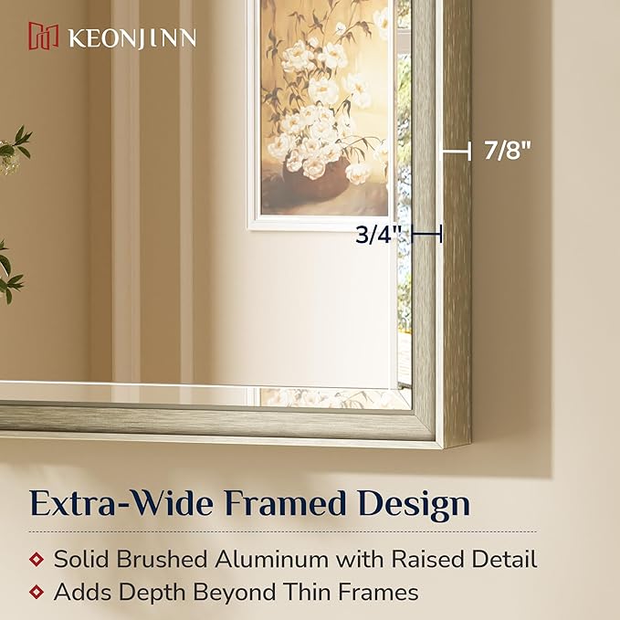 Keonjinn 24" x 30" Brushed Nickel Mirrors
