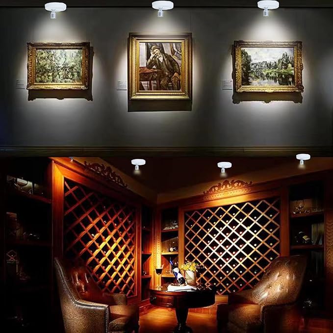 HAMVIDNE LED Spotlight, Battery Operated Picture Lights, Uplighting Indoor
