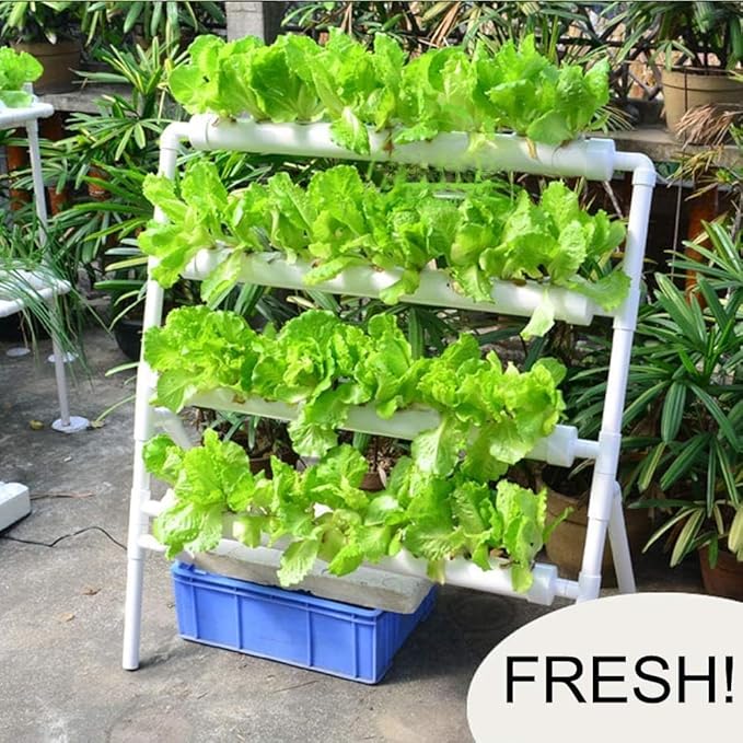 Hydroponics Growing System Kit 36 Plant Sites Food-Grade PVC-U Pipes Hydroponic Grow Kit Gardening System for Vegetables,Fruits,Herb