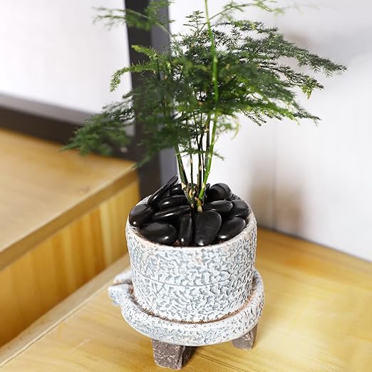 20LB Black River Rocks for Vases 3/4-1 5/8Inch River Stones Decorative Rocks for Plants Indoor Pebbles for Crafts Decorative Stones Gravels Rocks for Plants Outdoor