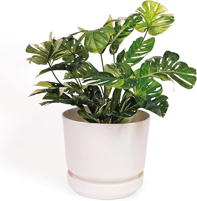 Elly DÃ©cor 12 inch Plastic Cylinder Planter Pot with Self-Watering Saucer and Drainage Hole,Lightweight & Extremely Durable, 12"x 12", White